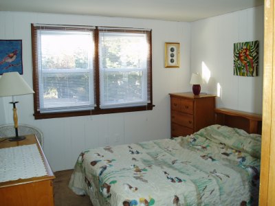 bird room